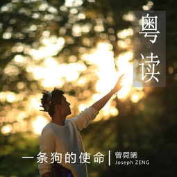 挽回和告白的歌曲,给你我的真心，让我们再相爱