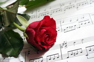 分手后女人不挽回,女人应该放手，不必挽回