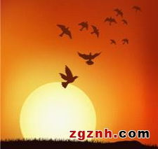 半颗恋人心怎么挽回,失而复得——重振恋爱生机