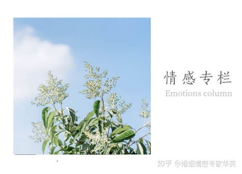 结婚了分居怎么挽回,分居后如何挽回婚姻