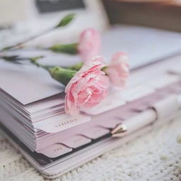 婚姻挽回类的书,如何拯救婚姻