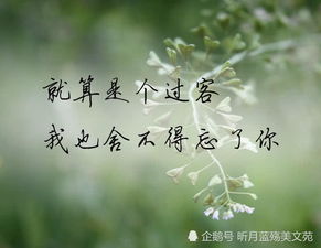 梦见放弃挽回前女友,梦境告知放下前任振作前行