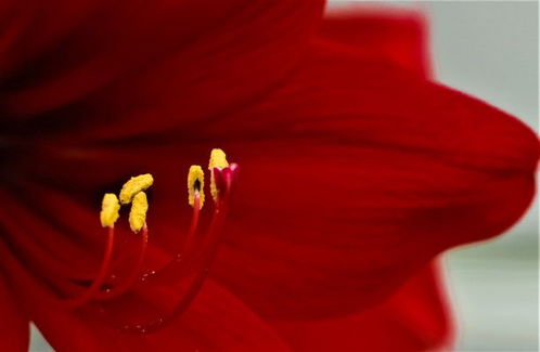 天蝎分手挽回发什么,如何挽回天蝎座分手的爱情