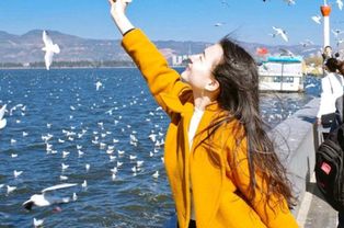 理性分手了怎么挽回,如何挽回理性分手？