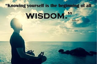 我极力去挽回,全力挽回，不惜一切代价