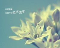 挽回丈夫出轨的话语,如何挽回丈夫出轨