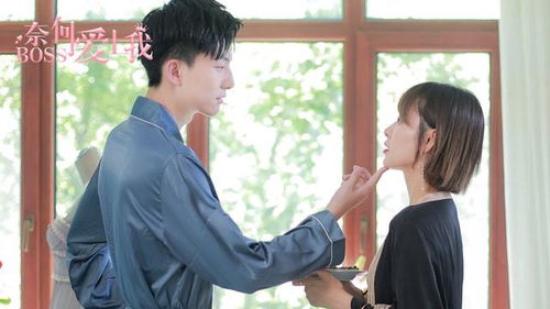 挽回弟弟电视剧,兄长回归：挽救失落的兄弟情