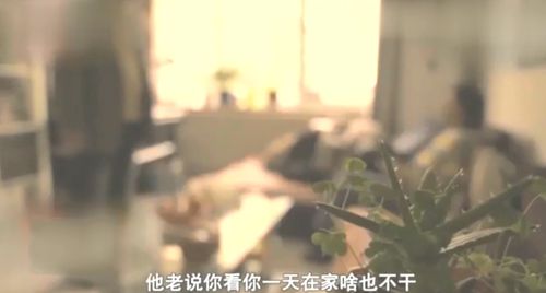 风水大师挽回婚姻小说,重修夫妻运：风水大师的挽回之路