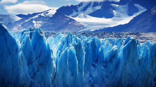 看到冰山灾难怎么挽回,挽救冰山灾难的措施