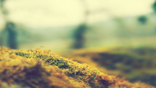 这份感情如何挽回呢,挽救爱情：如何拯救感情？