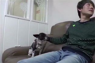 肢体接触吓跑女孩怎么挽回，走得太快，肢体接触误伤心，如何挽回TA？