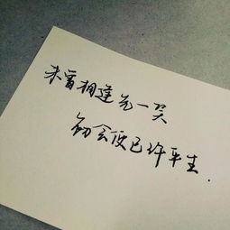 无法挽回的日子,失去所有的日子