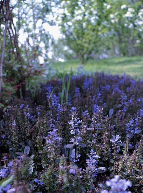 天蝎不爱了怎么挽回,如何挽回天蝎座的爱情？