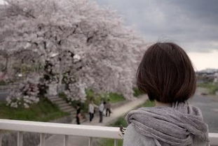 天蝎分手绝情如何挽回,天蝎分手后，如何挽回情感