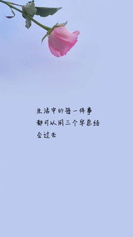 挽回想放弃的句子,迷茫时该怎么办？ - 重拾信心的方法（注意，不能包含原标题中的“想放弃”这个词）