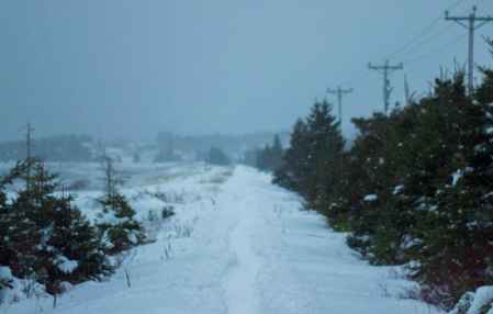 挽回女生攻破防线,“挽回女友”：攻破防线的绝佳方法