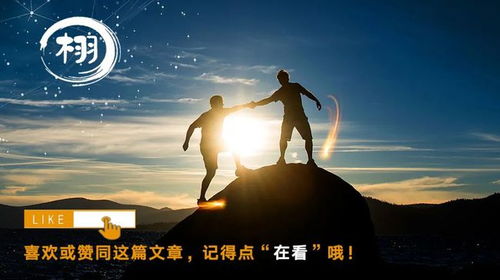 大家都在劝你别挽回，不要追回他她，专注自己的生活