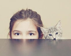 城破无法挽回,无可救药的城市