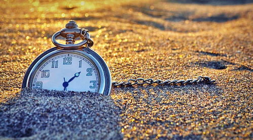 应该挽回还是放弃,该挽回还是放弃？-》爱情中不能有绝对，该如何决定？