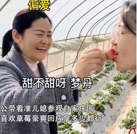 有钱老头拼命挽回女友,有钱老头拼命挽回女友 → 富豪苦求前女友