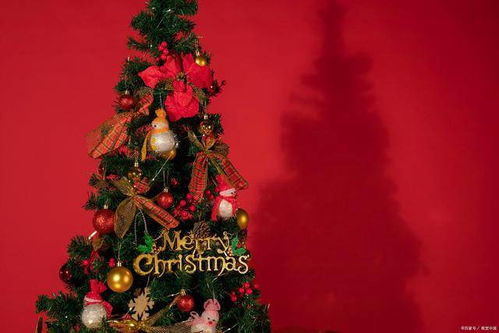 圣诞挽回对象的文案,如何在圣诞节上挽回你的爱情？