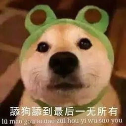 通过做朋友挽回前任,如何做朋友挽回前任