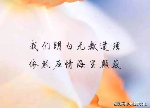 适合挽回的文案短句,如何恢复失落的爱情？