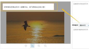 挽回txt盘搜搜,如何挽回旧爱