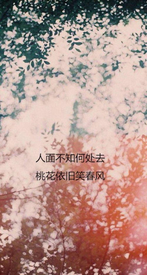 怎样挽回逝去的爱情，如何让失去的爱情重燃爱火