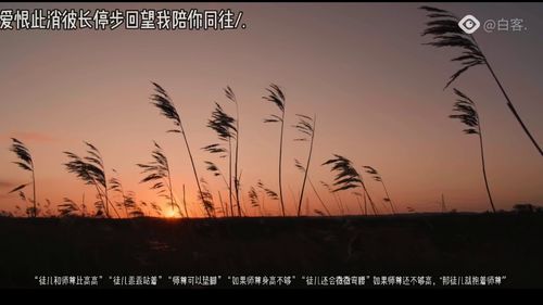 燃晚同人文挽回,重获信任：燃晚同人文挽回