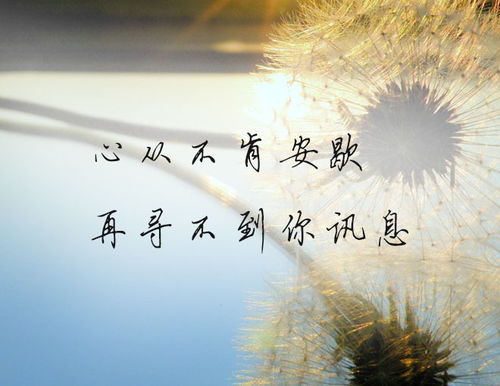 因为孤独而选择挽回,孤独折磨，渴望挽回——重建联系。