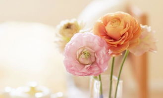 挽回女友送香皂花,用香皂花，重返爱情岛。