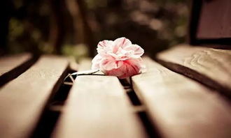 挽回的心里话,挽回爱情的私密心事