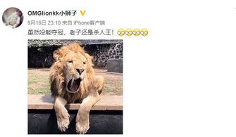 挽回狮子的图片,狮子王者归来：挽回荣耀！