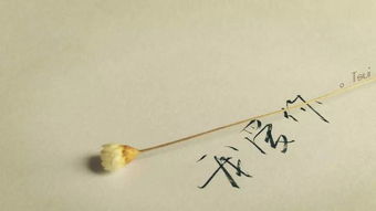 背叛了对方如何挽回，如何重新赢得他人的信任？