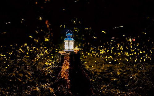 如何挽回300亿票房,成功从票房低谷中挽回300亿