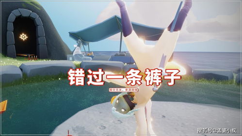 咸鱼单反骗局如何挽回,遭遇咸鱼单反骗局怎么办？挽回技巧全解