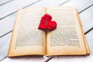 道歉挽回信女友长篇，向女友真情道歉，挽回你的心（不超过15个字）