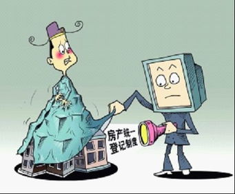 把房产变更能挽回吗，不动产过户后有救吗