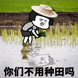 挽回冷落狮子座,如何让狮子座重新回到你的生活中？