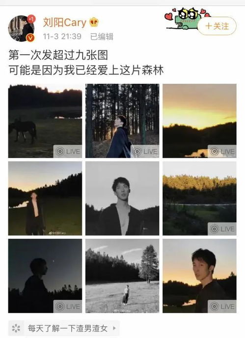 被迫分手挽回文案，失去你是我最大的损失，我会挽回我们的爱情