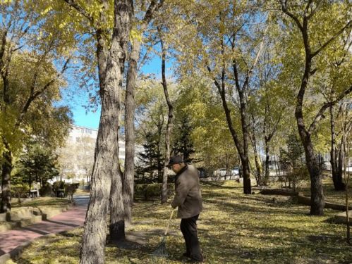 白树高地挽回战友攻略，挽回战友攻略：白树高地实战指南