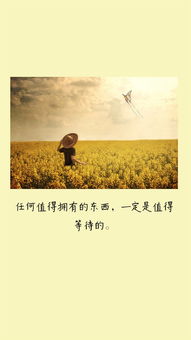 表达努力挽回的句子,不放弃，不止步：努力挽回的故事