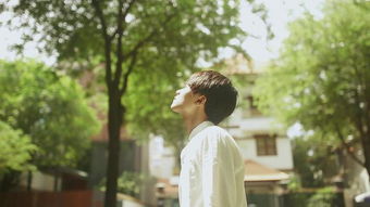 想挽回前任的星座,星座挽回前任攻略