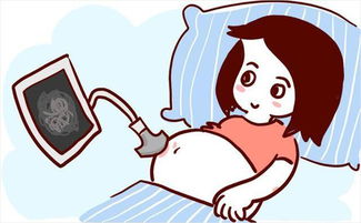 怀孕了想挽回感情,怀孕后如何重建感情