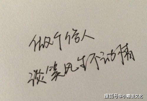 挽回前任的表白句,挽回前任的言辞，快来看看