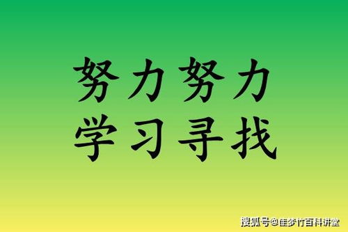 寻找公司挽回声誉,公司修复形象，挽回声誉