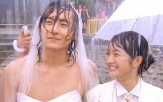 直树挽回湘琴，如何让湘琴重拾信任？