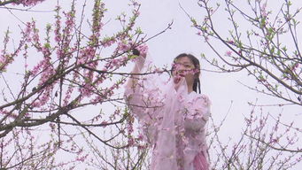 百花挽回口碑，故事感人，剧情跌宕，百花不负期望！