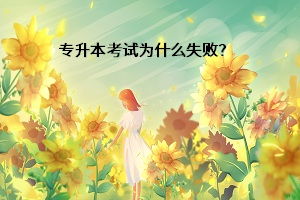 橙心橙意挽回，用真心挽回TA的心